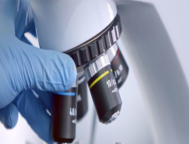 Spitzen-R&D-Fähigkeit